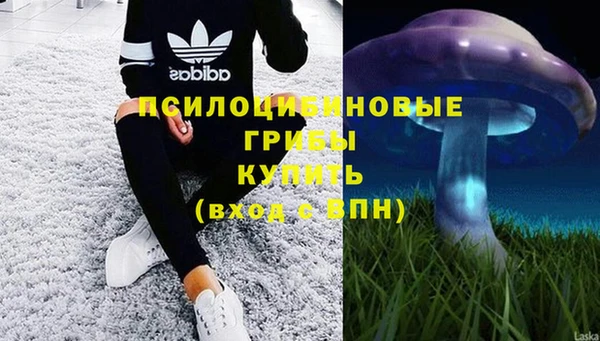 jwh Дмитров
