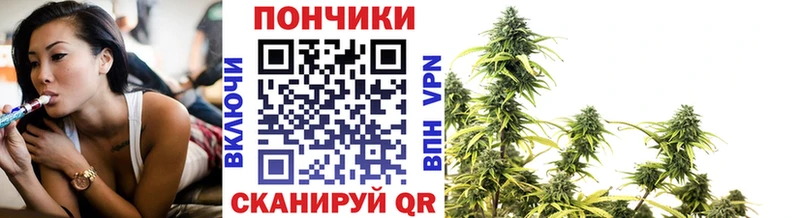 Шишки марихуана индика  магазин продажи наркотиков  Сясьстрой 